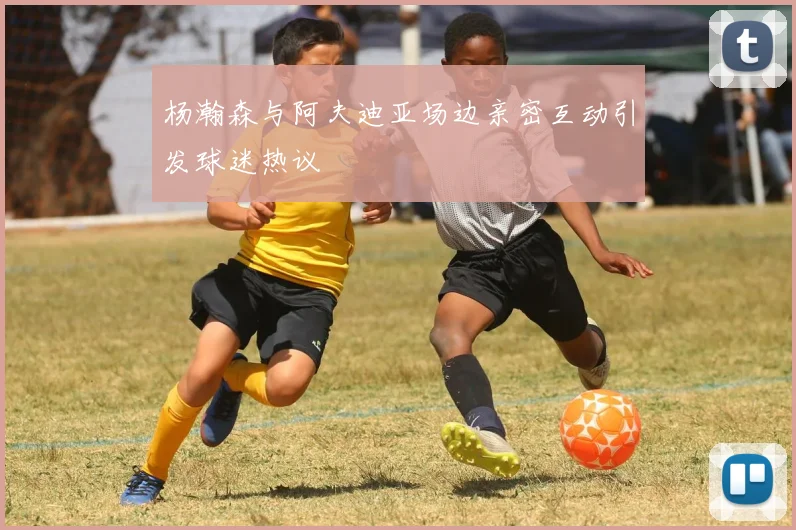 杨瀚森与阿夫迪亚场边亲密互动引发球迷热议